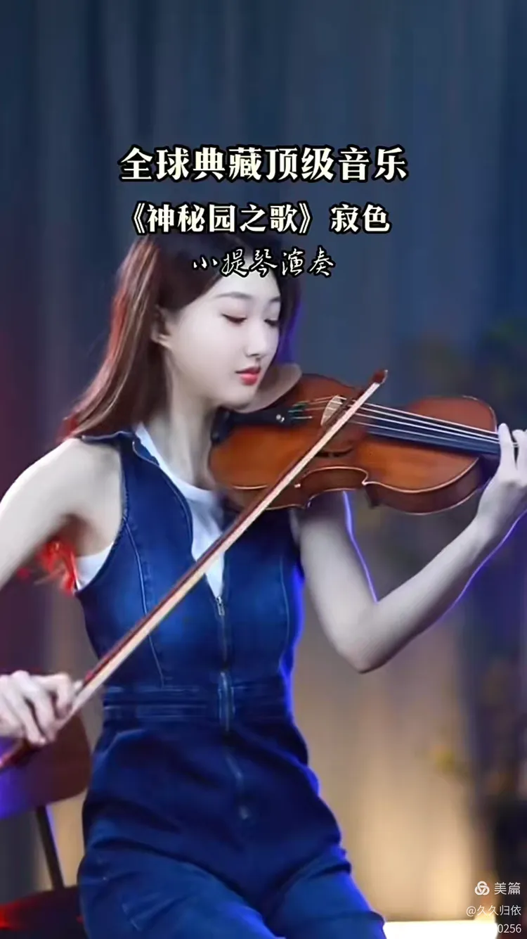 萨克斯吹奏经典小提琴曲《寂色》